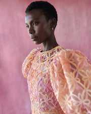 Celia B. Samphire Dress Orange